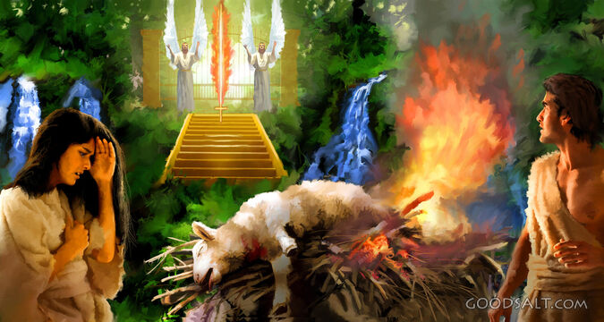 First Sacrifice