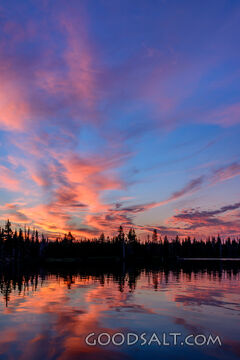 Flaming Sunset Vertical