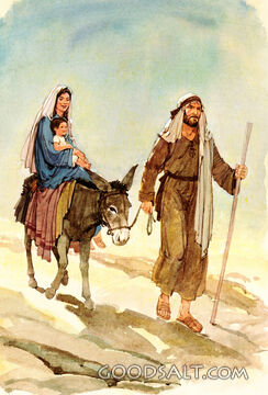 Flight Into Egypt