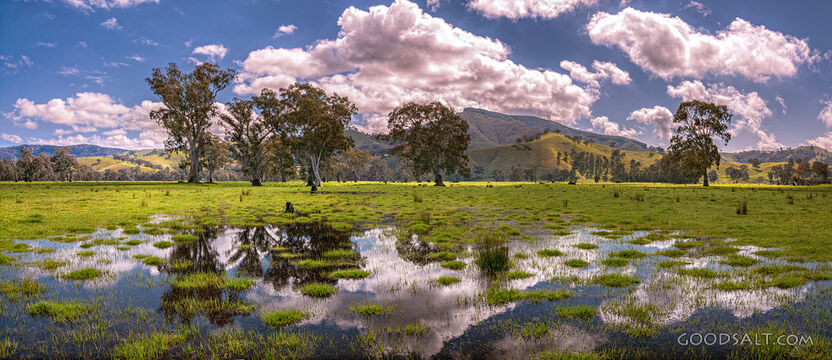 Flooded farmland and bush