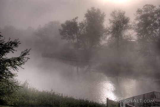 Foggy Morning