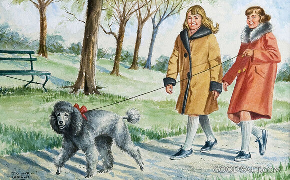 Frisk Morning Walk