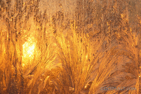 Golden hoar frost on glass