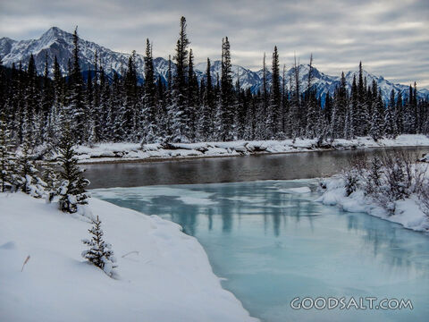 Frozen Stream Off Bow River
