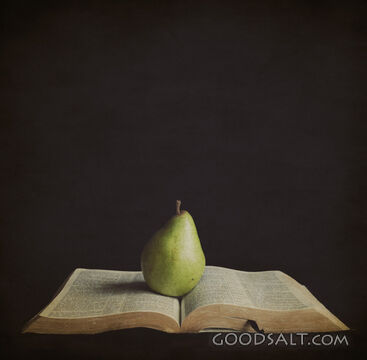 Fruit of the Bible