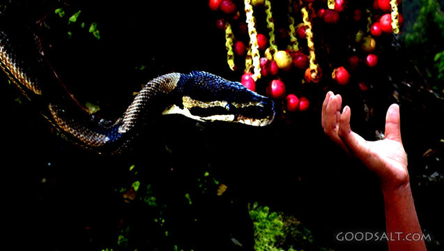 The Serpent’s Temptation