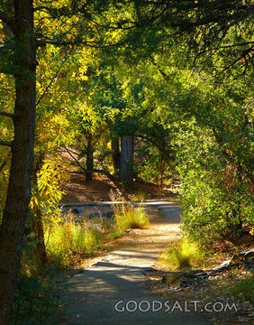 Gateway to Destiny, Lynx Lake Trail