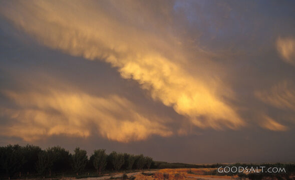 Gathering Storm
