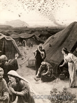 Giving of the Manna