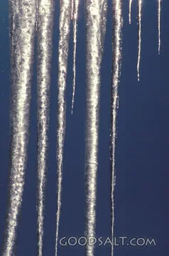 Icicles in Winter Light