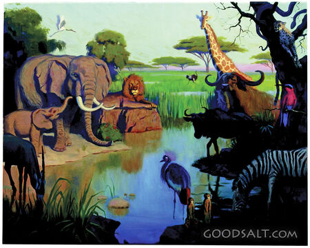 God Made Animals
