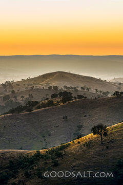 golden late sun bathes country scene and hillsides in misty light.