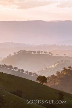 golden late sun bathes country scene and hillsides in misty light.