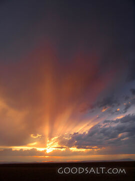 Golden Sunset