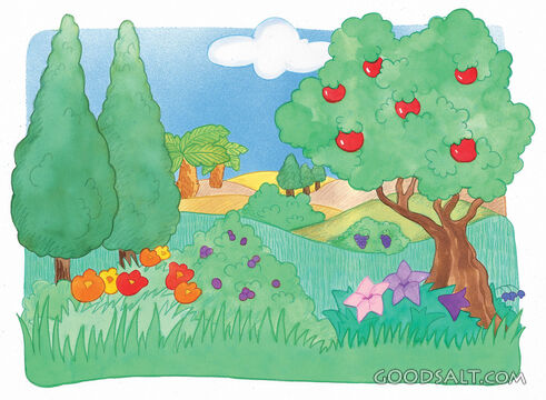 Grass and Trees