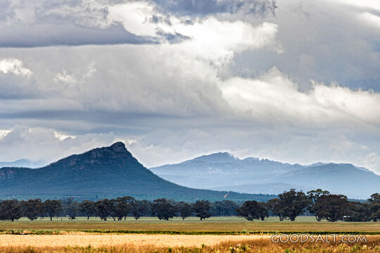 Grassy plains and trees in front of mountains.
