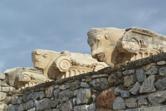 Greek Bull Column Capitals