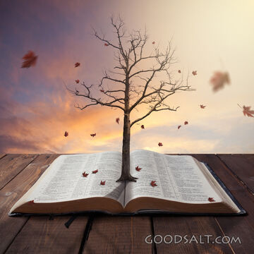 Growing on the Word