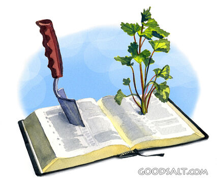 The Word Takes Root