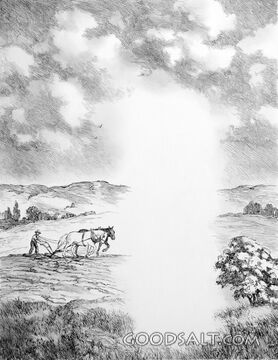 Hand to the Plow