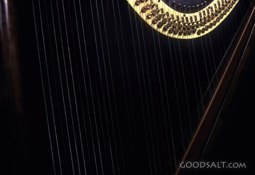 Harp Strings