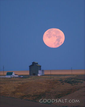 Harvest Moon