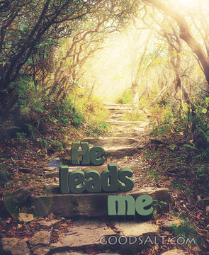 He Leads Me