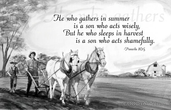 He Who Gathers...