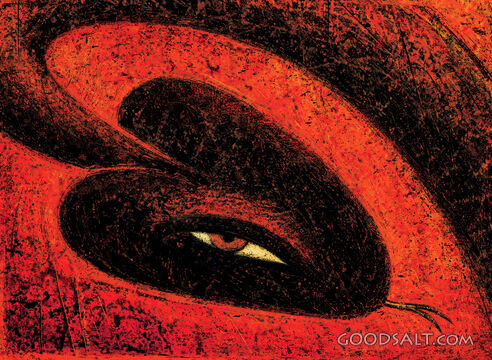 Head of a Black Snake