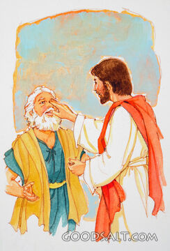 Healing the Blind