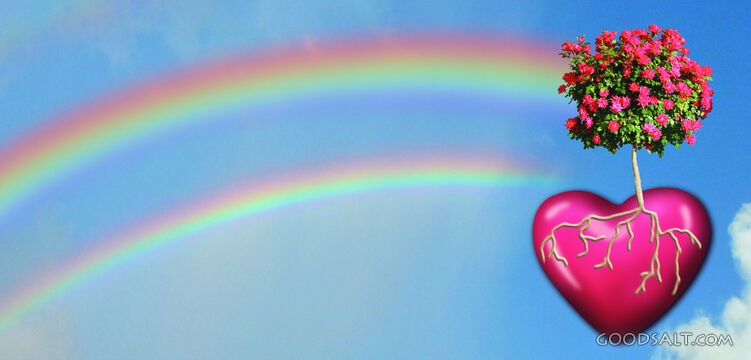 Heart and Rainbow