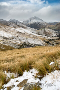 Heavy snow mixed with yellow grass.