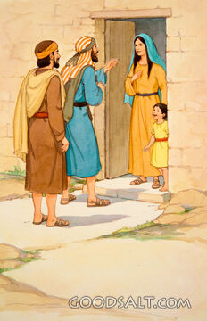Helping the Widows