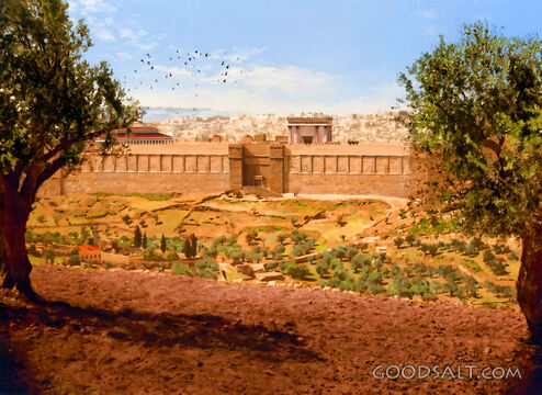 Herod&#039;s Temple From the Mt. of Olives