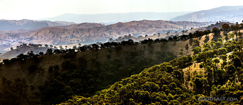 Hills and farmland speckled with forest.