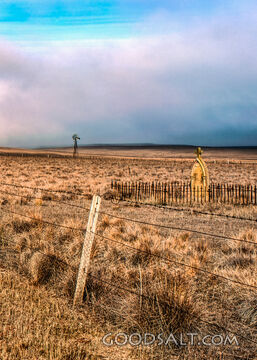 Historic graves in private farm field.