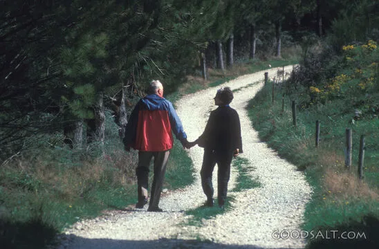 Faithful Companions on the Path