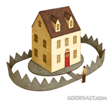 House in a Bear Trap