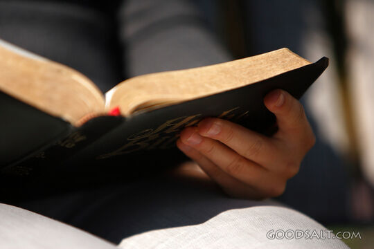 IDAHO. Boise. Hands holding Bible (close-up). MR