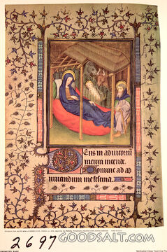 Illuminated page of Medieval Bible