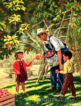 In the Apple Orchard