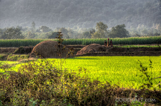 India Lanscape