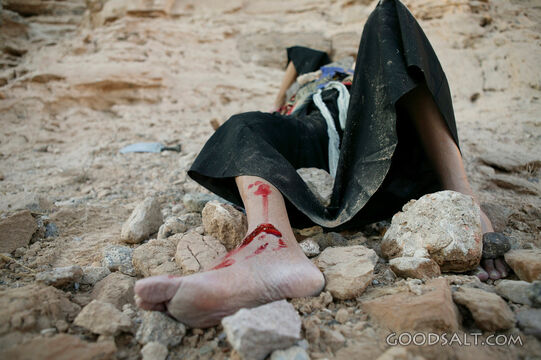 The Wounded Traveler