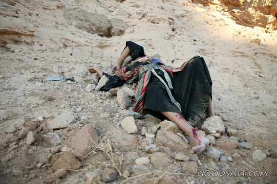 The Wounded Traveler