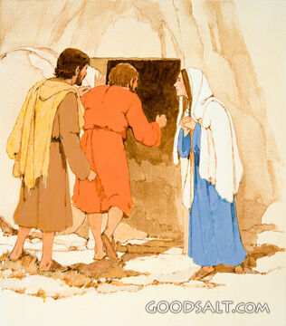Inspecting the Empty Tomb