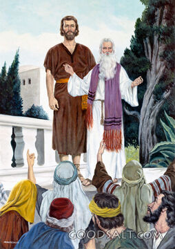 Introduction of Saul
