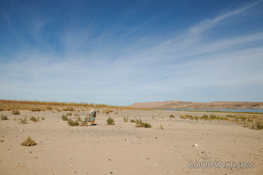 Isrealite in Desert