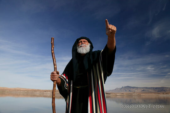 Isrealite Man With Beard and Staff Points