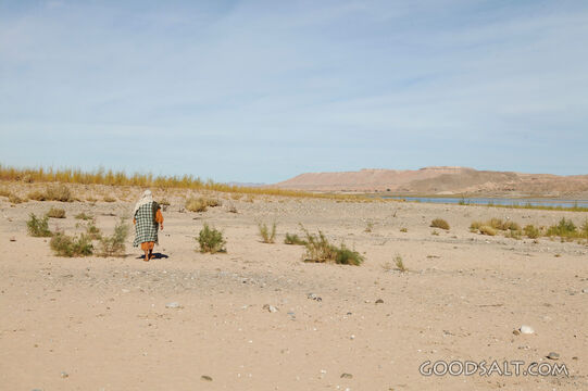 Isrealite Walking in Desert