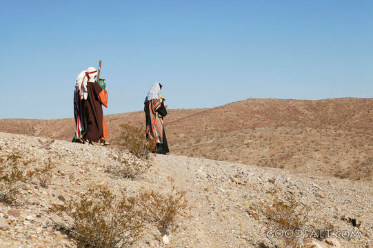 Isrealite Woman Leads Three Isrealites on Journey